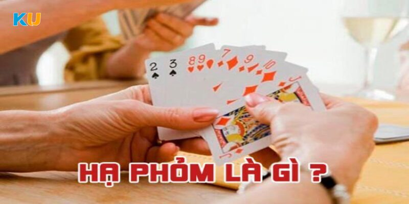 Nằm lòng toàn bộ thuật ngữ cơ bản trong game bài phỏm online 2024