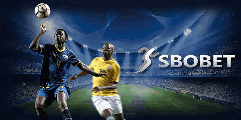 SBOBET - Sảnh cược thể thao uy tín lâu năm
